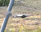 A look at the alleged DJI Avata 360. (Image source: via Mauro Tandoi)