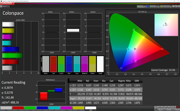 CalMAN color space (sRGB color space), standard display mode