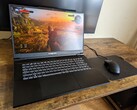 Eurocom Raptor X17 laptop review: The MSI and Asus ROG alternative