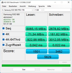 Below average scores in AS SSD for a 980 Pro.