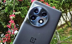 The OnePlus 11 will remain the company's sole flagship until the OnePlus 12, former pictured. (Image source: NotebookCheck)