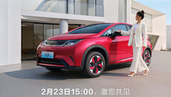 2024 Dolphin may challenge the Model 2 pricing (image: BYD)