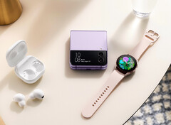 Samsung will begin updating the Galaxy Watch4 and Galaxy Watch5 series next month. (Image source: Samsung)