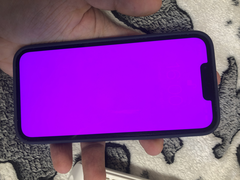 Some people are reporting a pink colour overlay on their iPhone 13&#039;s. (Image source: DPigar)