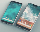 The Google Pixel 3 and Pixel 3 XL. [Source: Daily Express]
