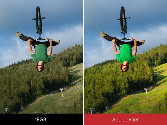Adobe RGB can display more saturated colors than sRGB. (Source: ViewSonic)