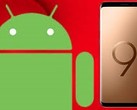 A number of newer Samsung Galaxy-line models are in line for an update to Android 9.0. (Source: Daily Express)