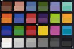 ColorChecker; reference color in lower part of each square.