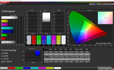 CalMAN: Colour-space coverage (sRGB)