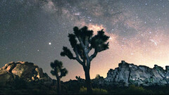 Starlink argues its satellite signal won't interfere (image: SpaceX)