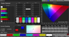 CalMAN sRGB color space – lively
