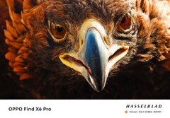 The Find X6 Pro: a telephoto master? (Source: OPPO)