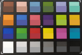 ColorChecker Colors. Bottom half of each square contains the reference color.