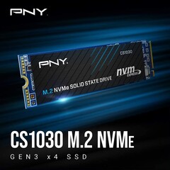 PNY CS1030 is available in 250 GB, 500 GB, 1 TB, and 2 TB capacities. (Source: Amazon/PNY)