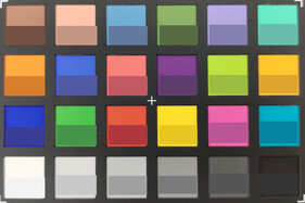 Photo of ColorChecker colors. The reference color is in the bottom half of each field.