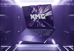 More entry-level options for budget-oriented gamers. (Image Source: XMG)