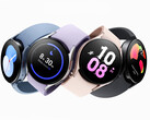 The Galaxy Watch5 series is the first to launch with Wear OS 3.5. (Image source: Samsung)