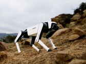 Dobot's latest robot dog is expected to cost just above $1,000. (Image source: Dobot)