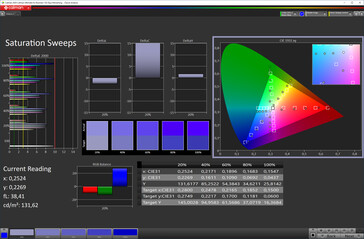 CalMAN Saturation (target color space: sRGB, profile: Automatic)