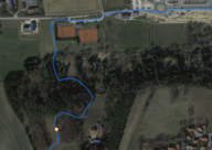 GPS Test: Forest section