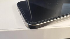 The 