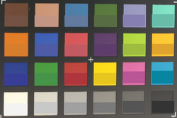 ColorChecker Passport: The target color is shown in the bottom half of each field.
