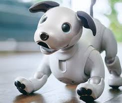 Sony has released a limited edition of aibo in the United States. (Source: hothardware)