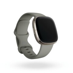 The Fitbit Sense is available in silver with a Sage Grey watch band. (Image source: Fitbit)