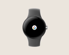 The Google Home app on the Pixel Watch. (Source: Google)