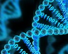 Microsoft Research and UW have demonstrated automated data archival and retrieval in a DNA molecule. (Source: The Conversation)