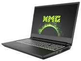 XMG Apex 15 Max (Clevo NH57VR) review: Gaming laptop with a desktop CPU