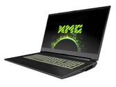 XMG Apex 17 (Clevo NH77ERQ) laptop review: For noise-resistant gamers