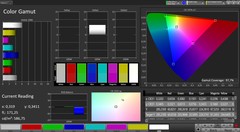CalMAN color space (profile: Intense; color space: sRGB)