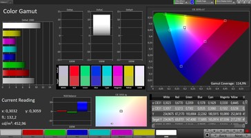 CalMAN: Colour Space – Wide colour gamut profile, AdobeRGB target colour space