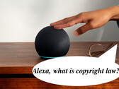 It appears that the Amazon team working on improving Alexa's search results and AI functionality has been illegally using copyrighted data for training purposes. (Image source: Amazon - edited)