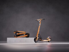 The Lavoie Series 1 e-scooter arrived earlier this year. (Image source: Lavoie)