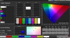 CalMAN color space (profile: Natural; color space: sRGB)