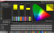 CalMAN Normal Colors ColorChecker sRGB