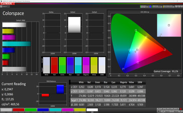 CalMAN: Colour space - sRGB target colour space