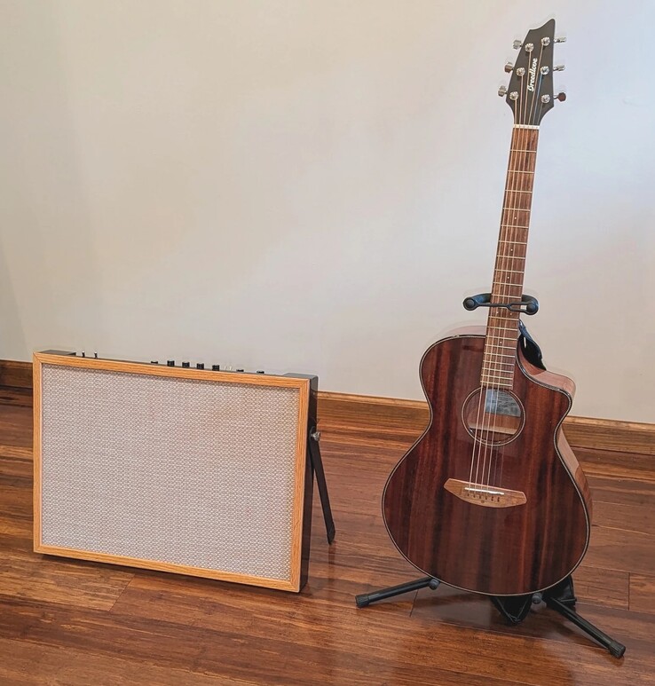 The Model Twenty Two flat panel active cabinet weighs just 16.5 pounds for easy transport to gigs. (Source: ET PRO)