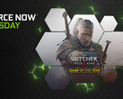 Wild Hunt is now playable via GeForce NOW. (Source: NVIDIA)