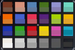 ColorChecker: Target color is displayed in the lower half of each patch.
