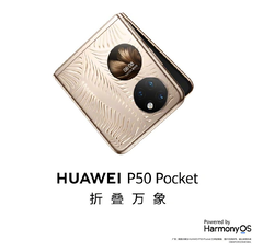 Huawei should launch the P50 Pocket in two colours. (Image source: Huawei)