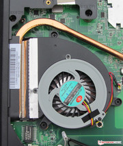 The fan can be removed for cleaning purposes.