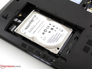 The Seagate hard drive is very loud, determining the noise level of the laptop in idle rather than the fan. The Seagate hard drive is very loud, determining the noise level of the laptop in idle rather than the fan.