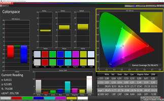 CalMAN Colorspace (target color space: sRGB)