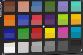 Screenshot of ColorChecker colors. Original colors are displayed in the lower half of each patch.