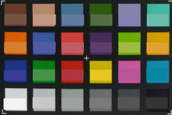 Picture of the ColorChecker colors. We displayed the original color in the bottom half of every patch.