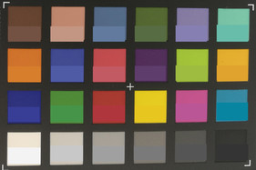 ColorChecker Passport: The reference color is in the lower field