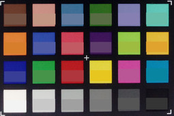 Picture of the ColorChecker chart. The lower half shows the respective reference color.